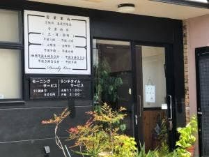 ダンディーライオン