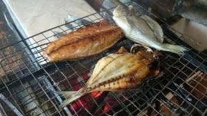 ひもの 万宝