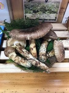 いなか食堂 別所