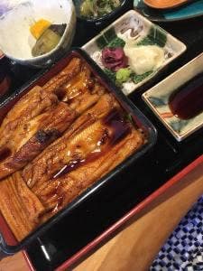 和食 登夢
