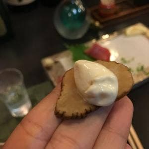 宏城寿し