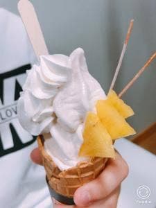 チルアウト & ソフトクリーム畑 富山本店