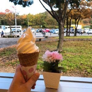 とくとく 阿賀野川SA店