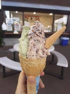 小田原牧場アイス工房 朝ドレファ～ミ成田店
