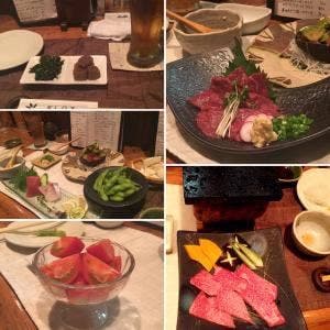 かしの木