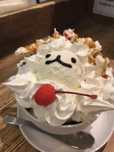 小動物カフェ ROCK STAR