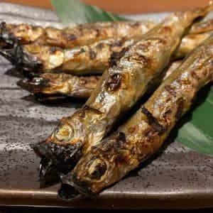 個室居酒屋寧々家 会津若松駅前店