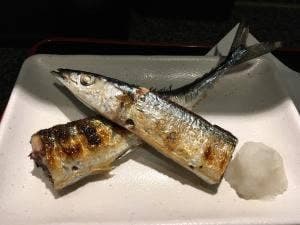 魚菜さくら