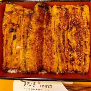 うなぎ はす沼