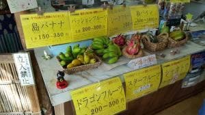 川平マエタケ農園