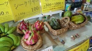 川平マエタケ農園