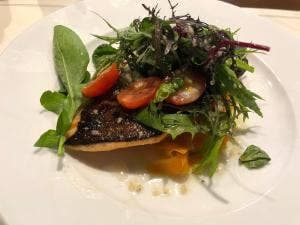 サルトリア ダ 水本