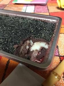 畠栄菓子舗