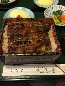 金子屋うなぎ店