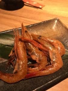 かんつばき