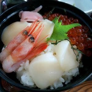 松乃家食堂