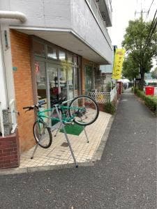 アプリコット
