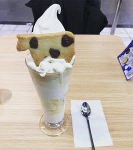 町村農場 the MILK 横浜西口店