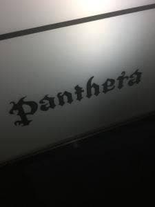Panthera
