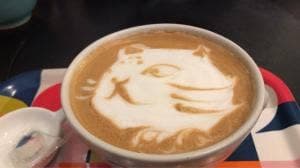 自家焙煎 プシプシーナ珈琲