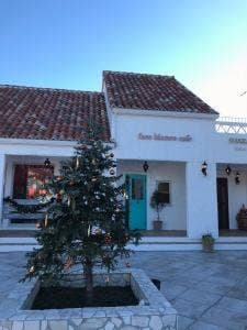 faro blanco cafe