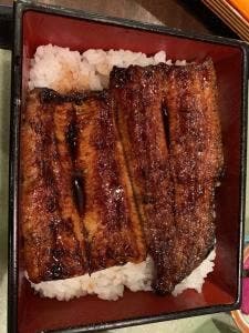 鯛将