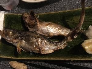 酒悦食楽 ほていや