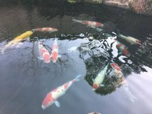 やま寿司
