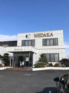 めだか