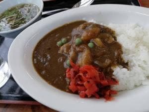 司