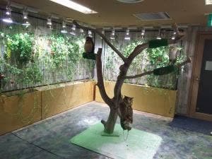 大手町牧場Cafe