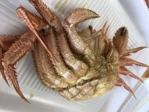 まるさんビーチマート