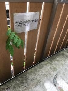兵庫屋酒店