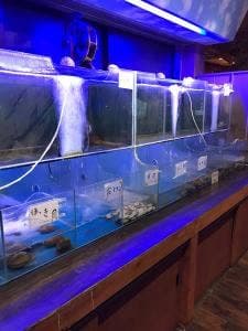 本格蒸し酒場 魚い魚い 川崎駅仲見世通り店