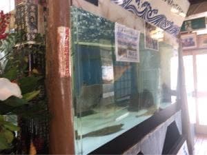 うえだ いけす料理