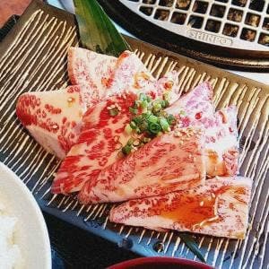 炭火ホルモン 吟