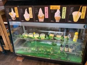 九州蜂の子本舗 福岡八女本店
