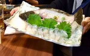 家康