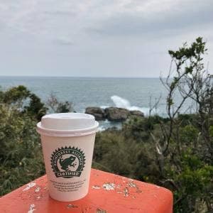 RAINFOREST CAFE 三ツ和荘