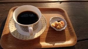 豆春