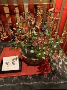 緩