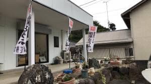絹華