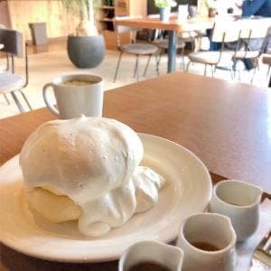 LUSH WASH CAFE