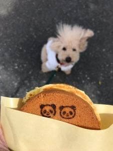 パンダ商店