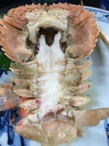 持木荘
