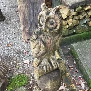 深山料理けがさ