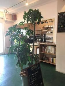 257cafe