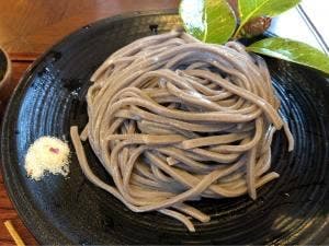 スズメのお宿 フォルテシモ