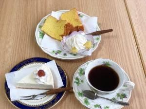 シュウ＆シホン 森