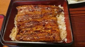 うな雄